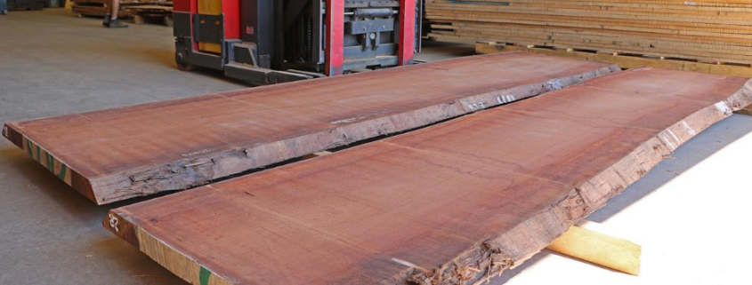 Photo of two mahogany slabs in lumber warehouse.